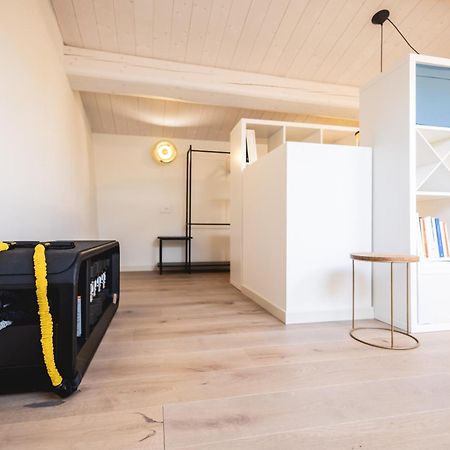 הוילה Luxury & Design: Oasi Nel Centro Storico Di רימיני מראה חיצוני תמונה